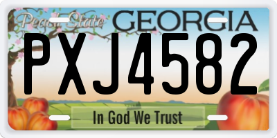 GA license plate PXJ4582