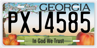 GA license plate PXJ4585