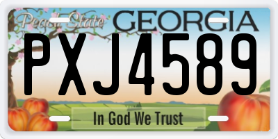 GA license plate PXJ4589