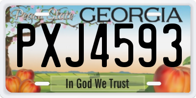 GA license plate PXJ4593