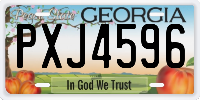 GA license plate PXJ4596