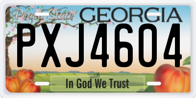 GA license plate PXJ4604