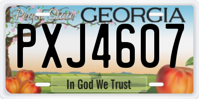 GA license plate PXJ4607