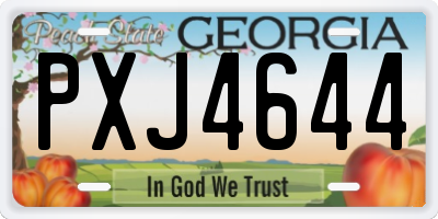 GA license plate PXJ4644
