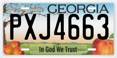GA license plate PXJ4663