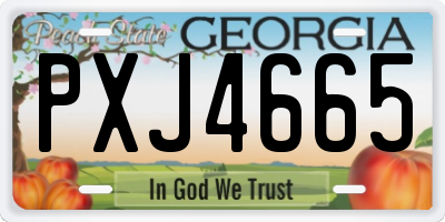 GA license plate PXJ4665