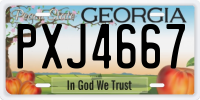GA license plate PXJ4667