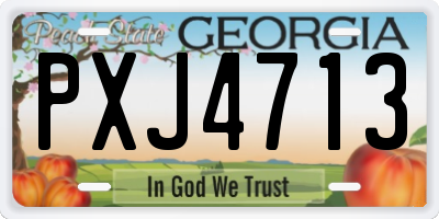 GA license plate PXJ4713
