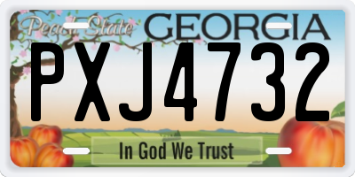 GA license plate PXJ4732
