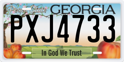 GA license plate PXJ4733