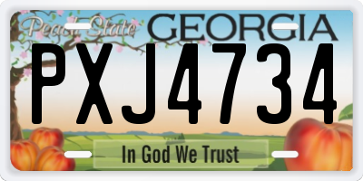 GA license plate PXJ4734