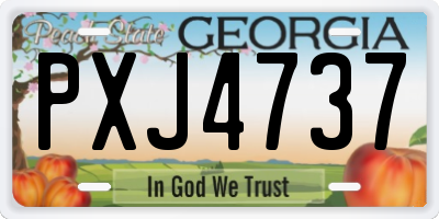 GA license plate PXJ4737
