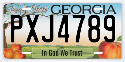 GA license plate PXJ4789