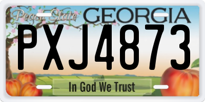 GA license plate PXJ4873