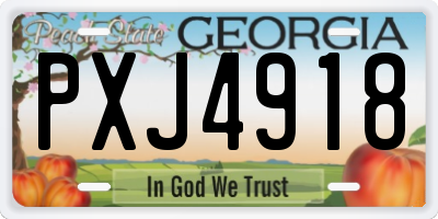 GA license plate PXJ4918