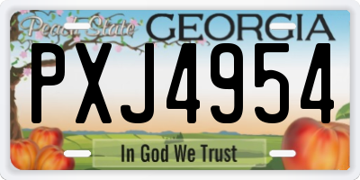 GA license plate PXJ4954