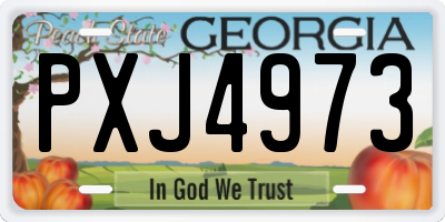GA license plate PXJ4973