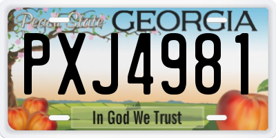 GA license plate PXJ4981