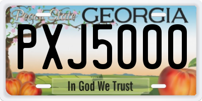 GA license plate PXJ5000