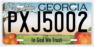 GA license plate PXJ5002