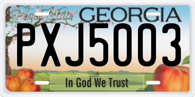 GA license plate PXJ5003