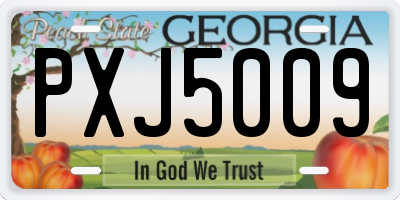GA license plate PXJ5009