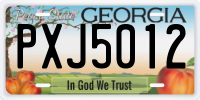 GA license plate PXJ5012
