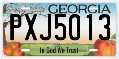 GA license plate PXJ5013