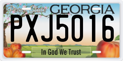 GA license plate PXJ5016