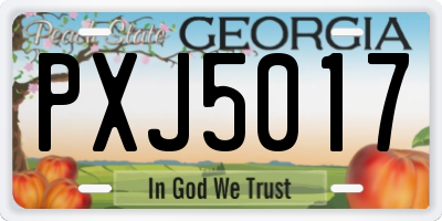 GA license plate PXJ5017