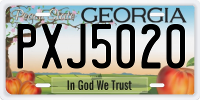 GA license plate PXJ5020