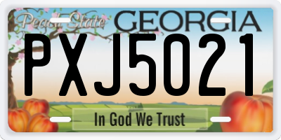 GA license plate PXJ5021