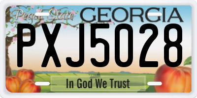 GA license plate PXJ5028