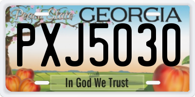 GA license plate PXJ5030