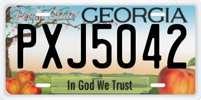 GA license plate PXJ5042