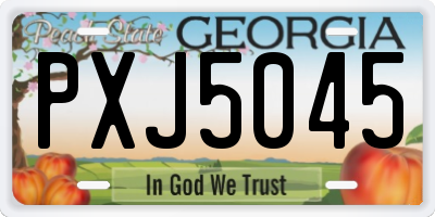 GA license plate PXJ5045
