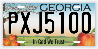 GA license plate PXJ5100