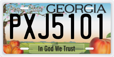 GA license plate PXJ5101