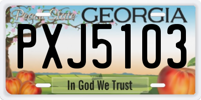 GA license plate PXJ5103