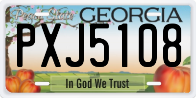 GA license plate PXJ5108