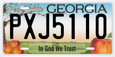GA license plate PXJ5110
