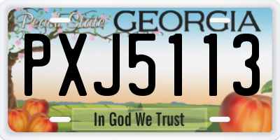 GA license plate PXJ5113
