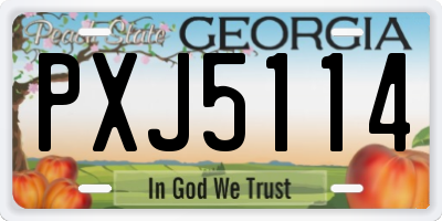 GA license plate PXJ5114