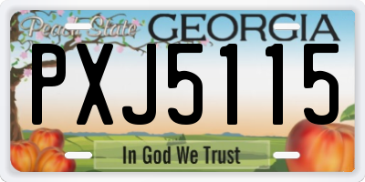 GA license plate PXJ5115