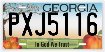 GA license plate PXJ5116
