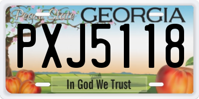 GA license plate PXJ5118