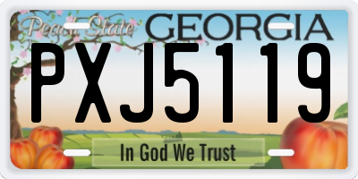 GA license plate PXJ5119