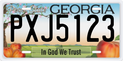 GA license plate PXJ5123