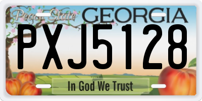 GA license plate PXJ5128