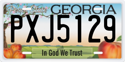 GA license plate PXJ5129
